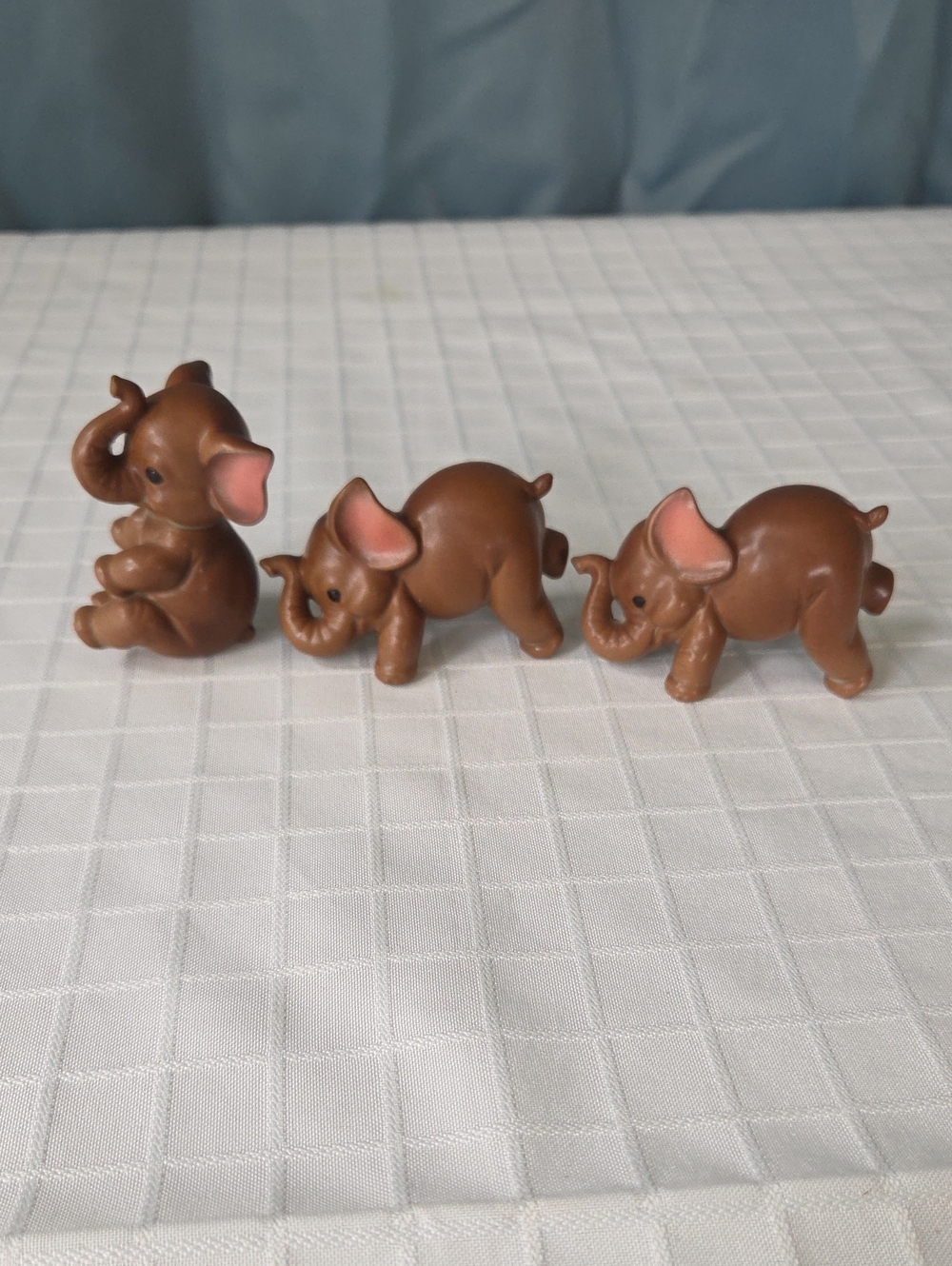Japan Baby Elephant Calves